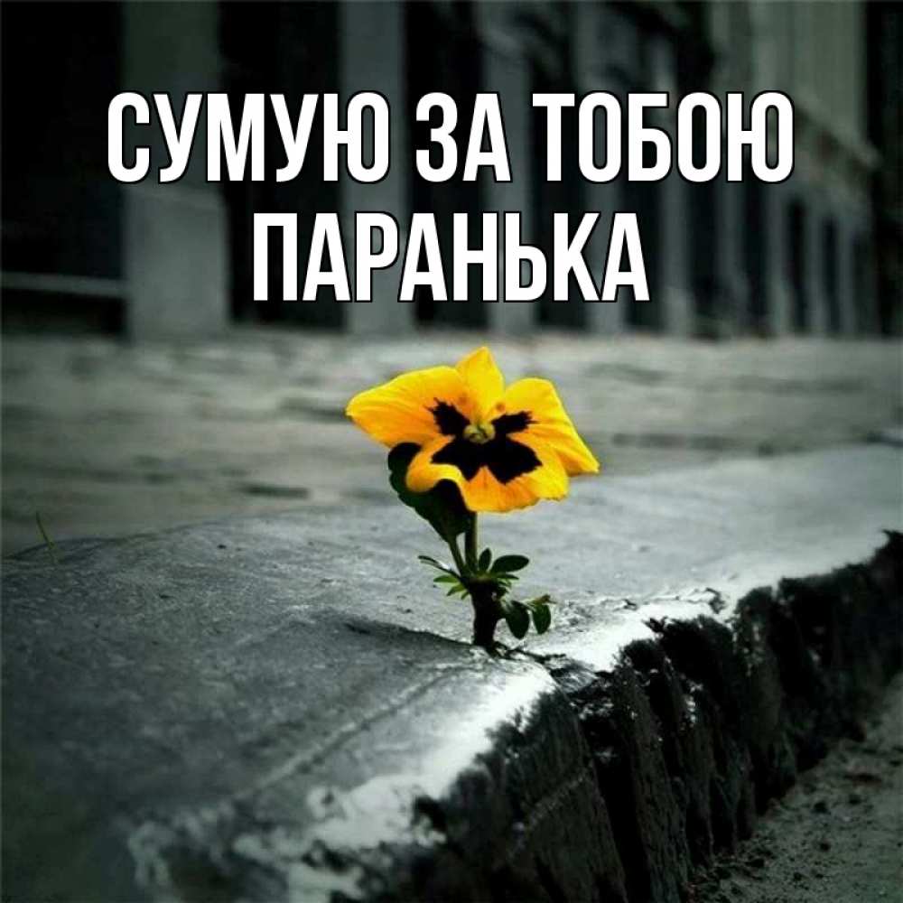 Открытка на каждый день з підписом, Паранька Сумую за тобою надеюсь будет лучше Прикольна листівка з побажанням онлайн скачати безкоштовно 