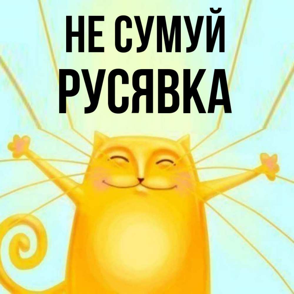 Открытка на каждый день з підписом, Русявка Не сумуй обнимашки усатые Прикольна листівка з побажанням онлайн скачати безкоштовно 