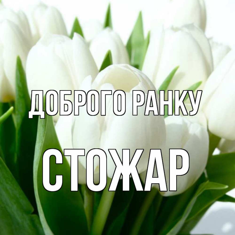 Открытка на каждый день з підписом, Стожар Доброго ранку открытки на каждый день по именам Прикольна листівка з побажанням онлайн скачати безкоштовно 