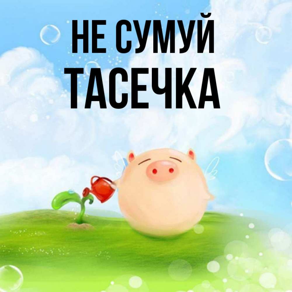 Открытка на каждый день з підписом, Тасечка Не сумуй поливает цветок порося Прикольна листівка з побажанням онлайн скачати безкоштовно 