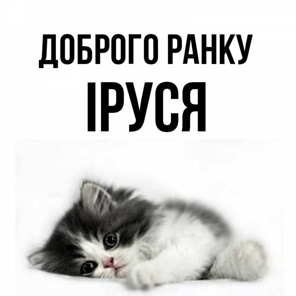 Открытка на каждый день з підписом, Іруся Доброго ранку кот лапки Прикольна листівка з побажанням онлайн скачати безкоштовно 