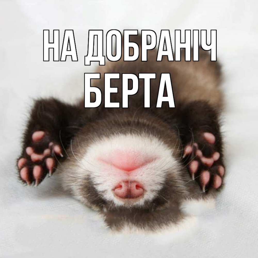 Открытка на каждый день з підписом, Берта На добраніч зверек Прикольна листівка з побажанням онлайн скачати безкоштовно 