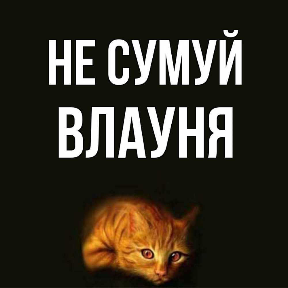 Открытка на каждый день з підписом, Влауня Не сумуй лежащий кот в темноте Прикольна листівка з побажанням онлайн скачати безкоштовно 