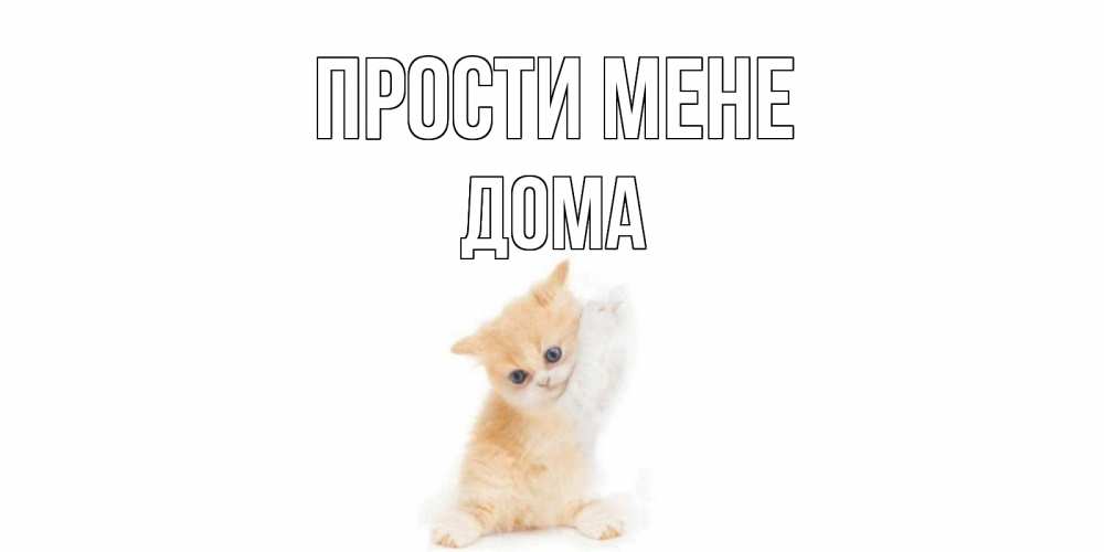 Открытка на каждый день з підписом, Дома Прости мене кот Прикольна листівка з побажанням онлайн скачати безкоштовно 