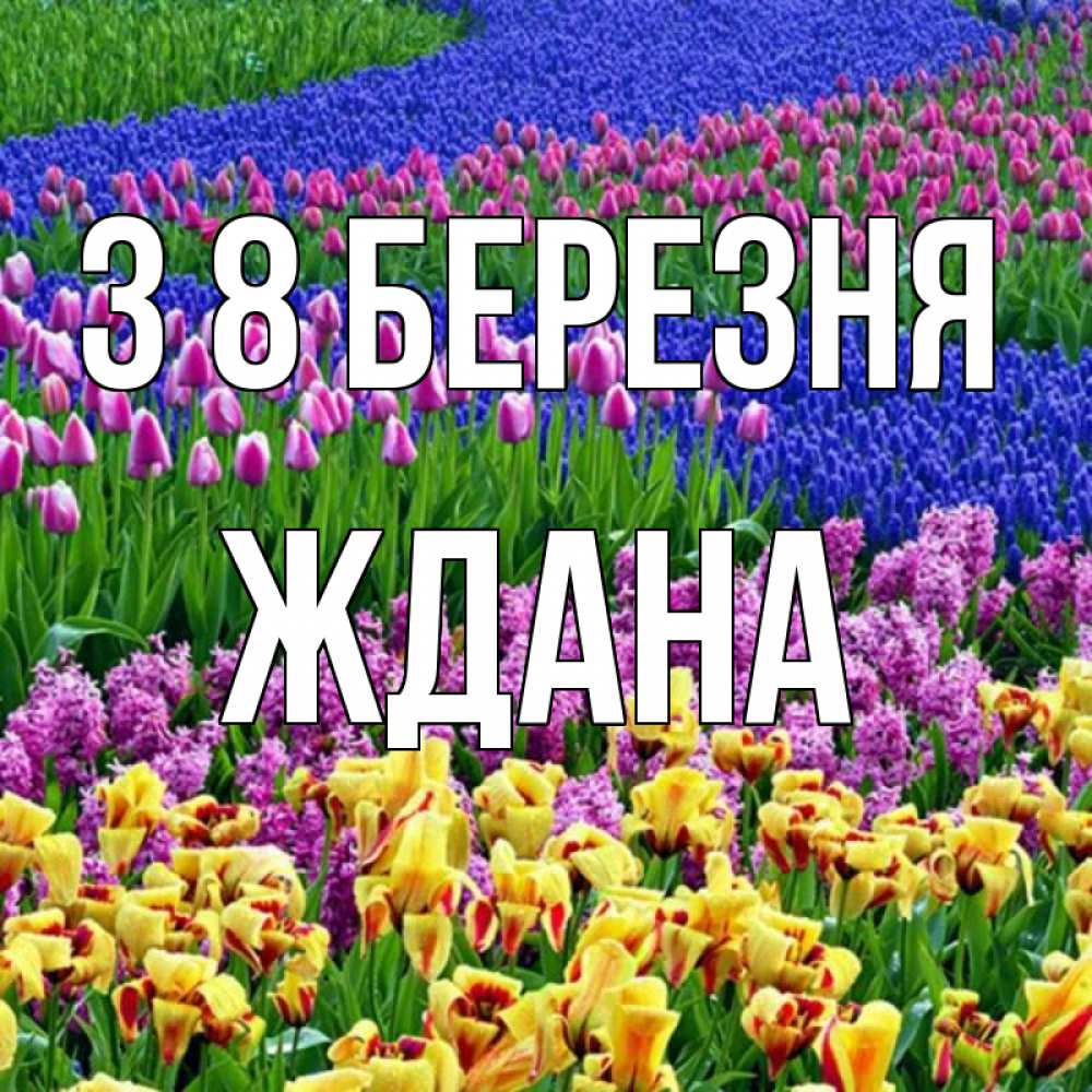 Открытка на каждый день з підписом, Ждана З 8 БЕРЕЗНЯ цветы Прикольна листівка з побажанням онлайн скачати безкоштовно 
