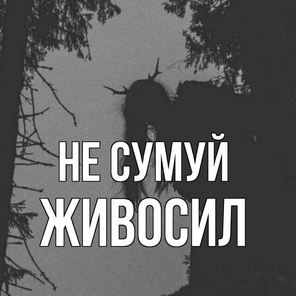 Открытка на каждый день з підписом, Живосил Не сумуй чудище лесное Прикольна листівка з побажанням онлайн скачати безкоштовно 