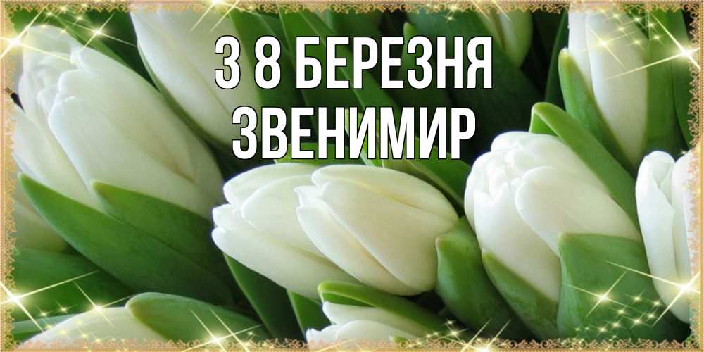 Открытка на каждый день з підписом, Звенимир З 8 БЕРЕЗНЯ поздравляем с 8 марта Прикольна листівка з побажанням онлайн скачати безкоштовно 