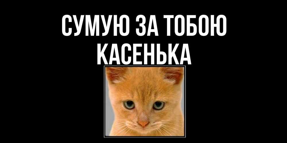 Открытка на каждый день з підписом, Касенька Сумую за тобою открытки рыжий котенок скучает по тебе Прикольна листівка з побажанням онлайн скачати безкоштовно 