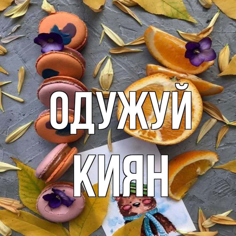 Открытка на каждый день з підписом, Киян Одужуй не болейте Прикольна листівка з побажанням онлайн скачати безкоштовно 