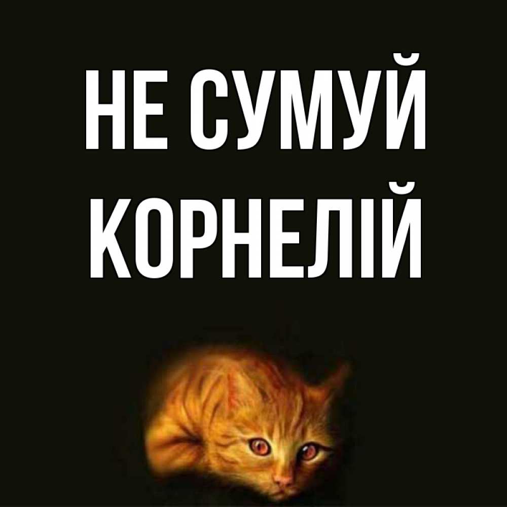 Открытка на каждый день з підписом, Корнелій Не сумуй лежащий кот в темноте Прикольна листівка з побажанням онлайн скачати безкоштовно 