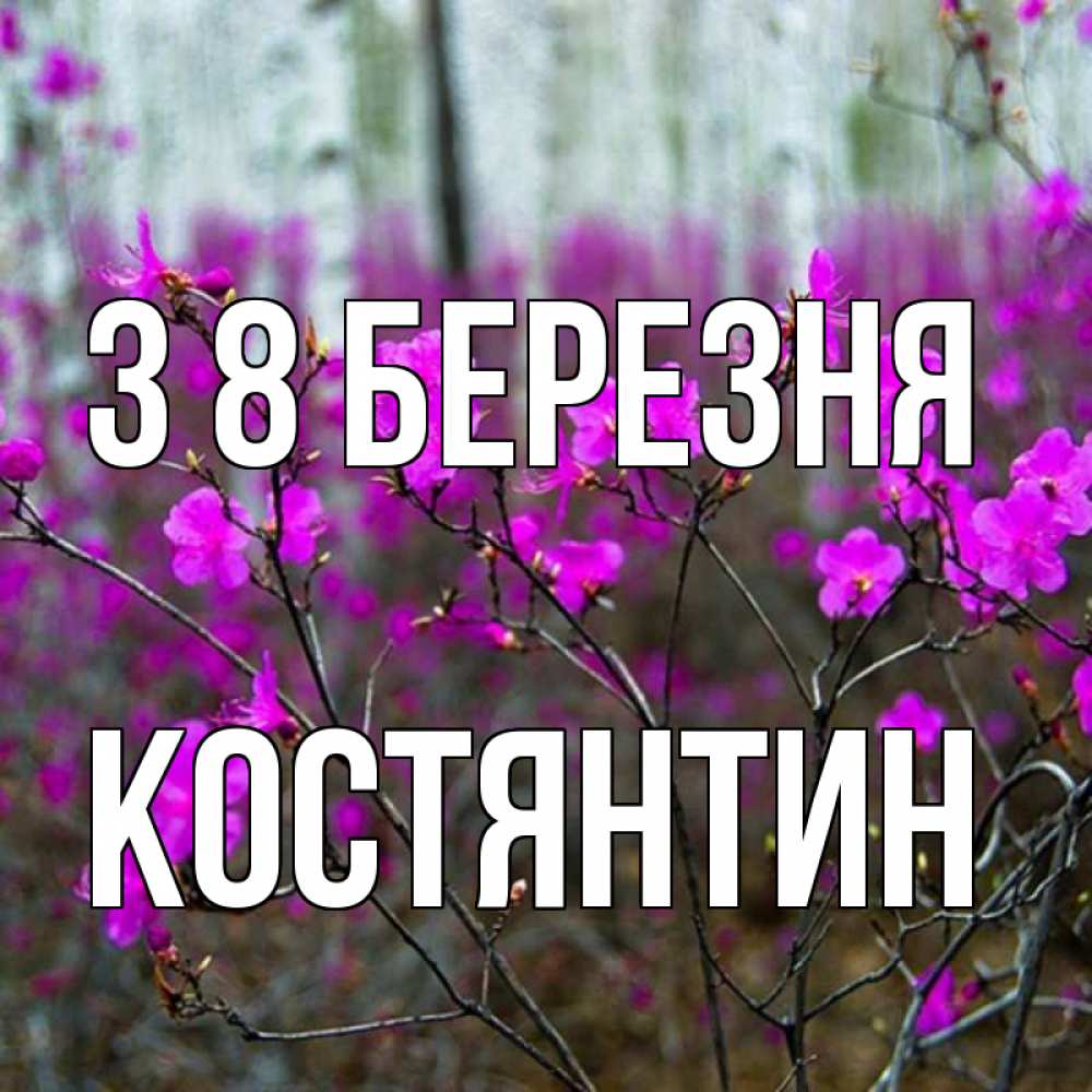 Открытка на каждый день з підписом, Костянтин З 8 БЕРЕЗНЯ дикие цветы Прикольна листівка з побажанням онлайн скачати безкоштовно 