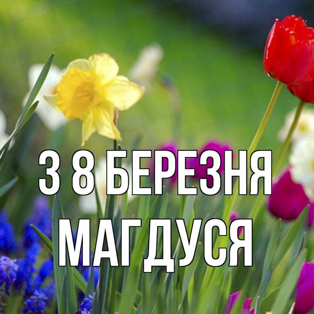 Открытка на каждый день з підписом, Магдуся З 8 БЕРЕЗНЯ международный женский день 3 Прикольна листівка з побажанням онлайн скачати безкоштовно 