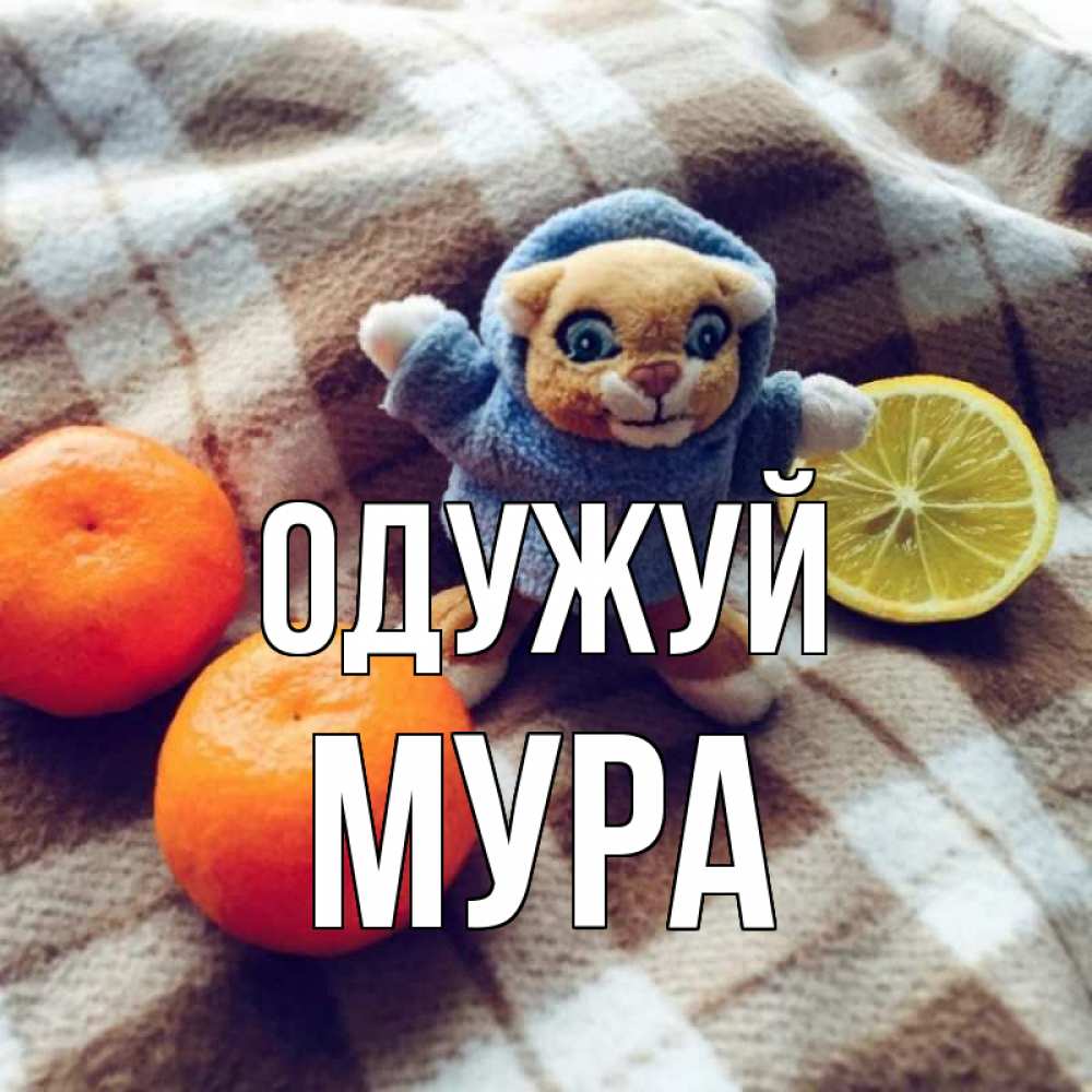 Открытка на каждый день з підписом, Мура Одужуй вот тебе апельсинка и лимон Прикольна листівка з побажанням онлайн скачати безкоштовно 