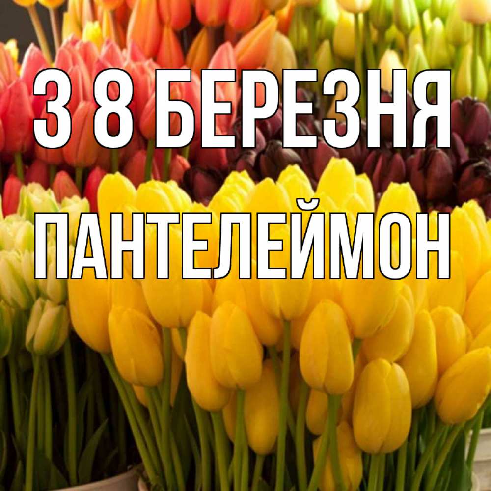 Открытка на каждый день з підписом, Пантелеймон З 8 БЕРЕЗНЯ цветы Прикольна листівка з побажанням онлайн скачати безкоштовно 