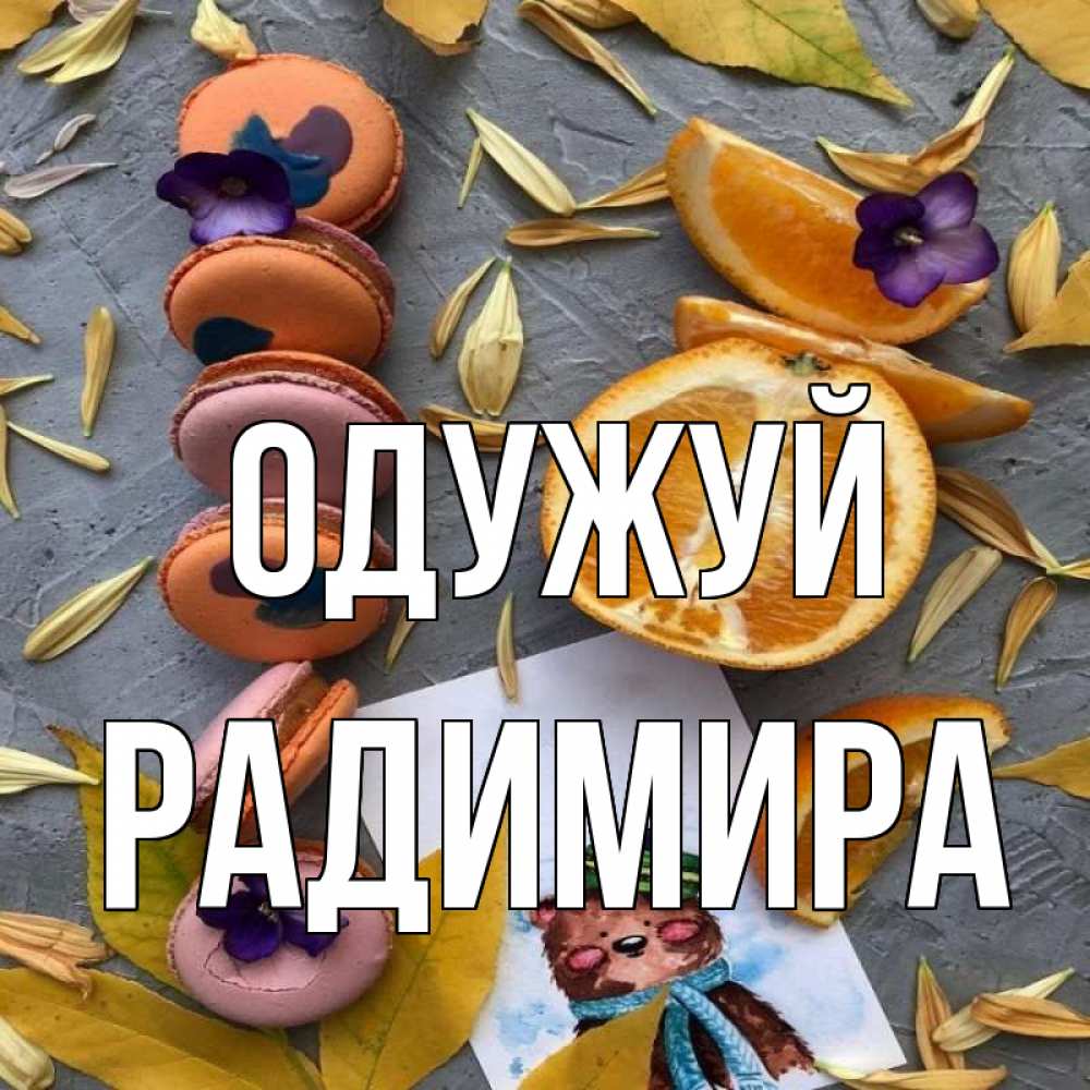 Открытка на каждый день з підписом, Радимира Одужуй не болейте Прикольна листівка з побажанням онлайн скачати безкоштовно 