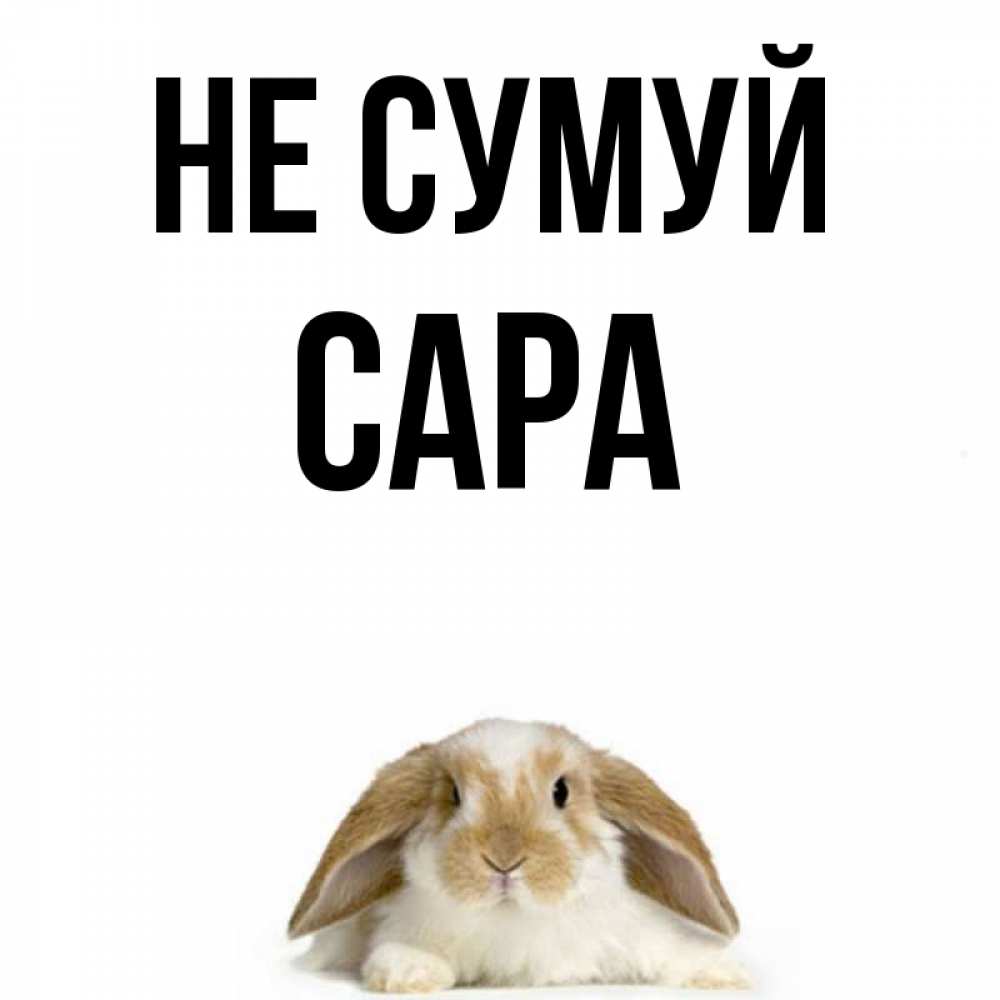 Открытка на каждый день з підписом, Сара Не сумуй коричнево белый заяц с большими ушками Прикольна листівка з побажанням онлайн скачати безкоштовно 
