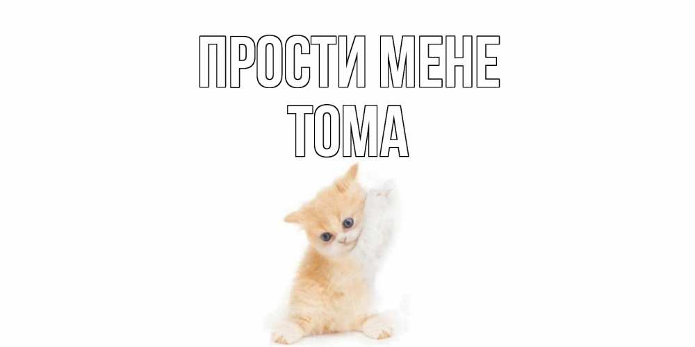 Открытка на каждый день з підписом, Тома Прости мене кот Прикольна листівка з побажанням онлайн скачати безкоштовно 