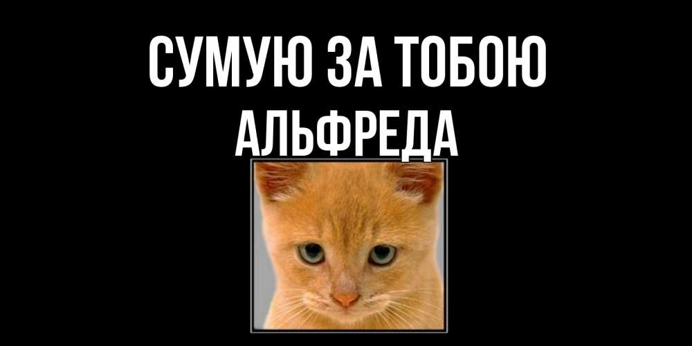 Открытка на каждый день з підписом, Альфреда Сумую за тобою открытки рыжий котенок скучает по тебе Прикольна листівка з побажанням онлайн скачати безкоштовно 