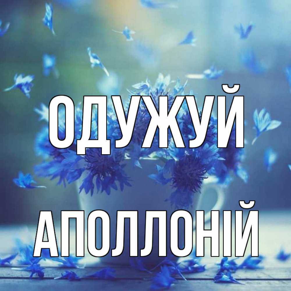 Открытка на каждый день з підписом, Аполлоній Одужуй кружка с зельем и цветами Прикольна листівка з побажанням онлайн скачати безкоштовно 