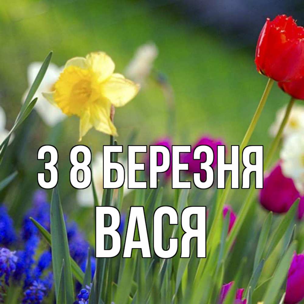 Открытка на каждый день з підписом, Вася З 8 БЕРЕЗНЯ международный женский день 3 Прикольна листівка з побажанням онлайн скачати безкоштовно 