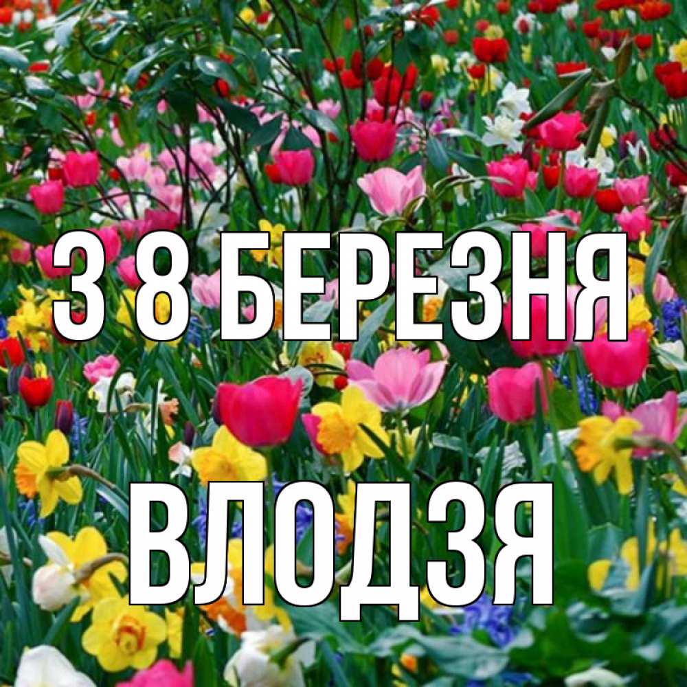 Открытка на каждый день з підписом, Влодзя З 8 БЕРЕЗНЯ с международным женским днем поздравления для женщины Прикольна листівка з побажанням онлайн скачати безкоштовно 