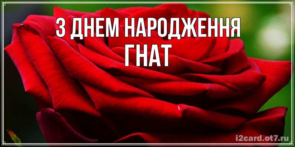 Открытка на каждый день з підписом, Гнат З Днем народження розочка очень красивая Прикольна листівка з побажанням онлайн скачати безкоштовно 