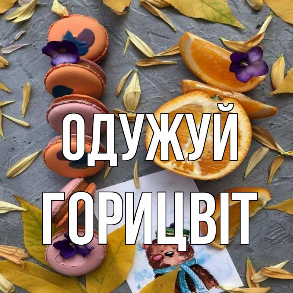Открытка на каждый день з підписом, Горицвіт Одужуй не болейте Прикольна листівка з побажанням онлайн скачати безкоштовно 