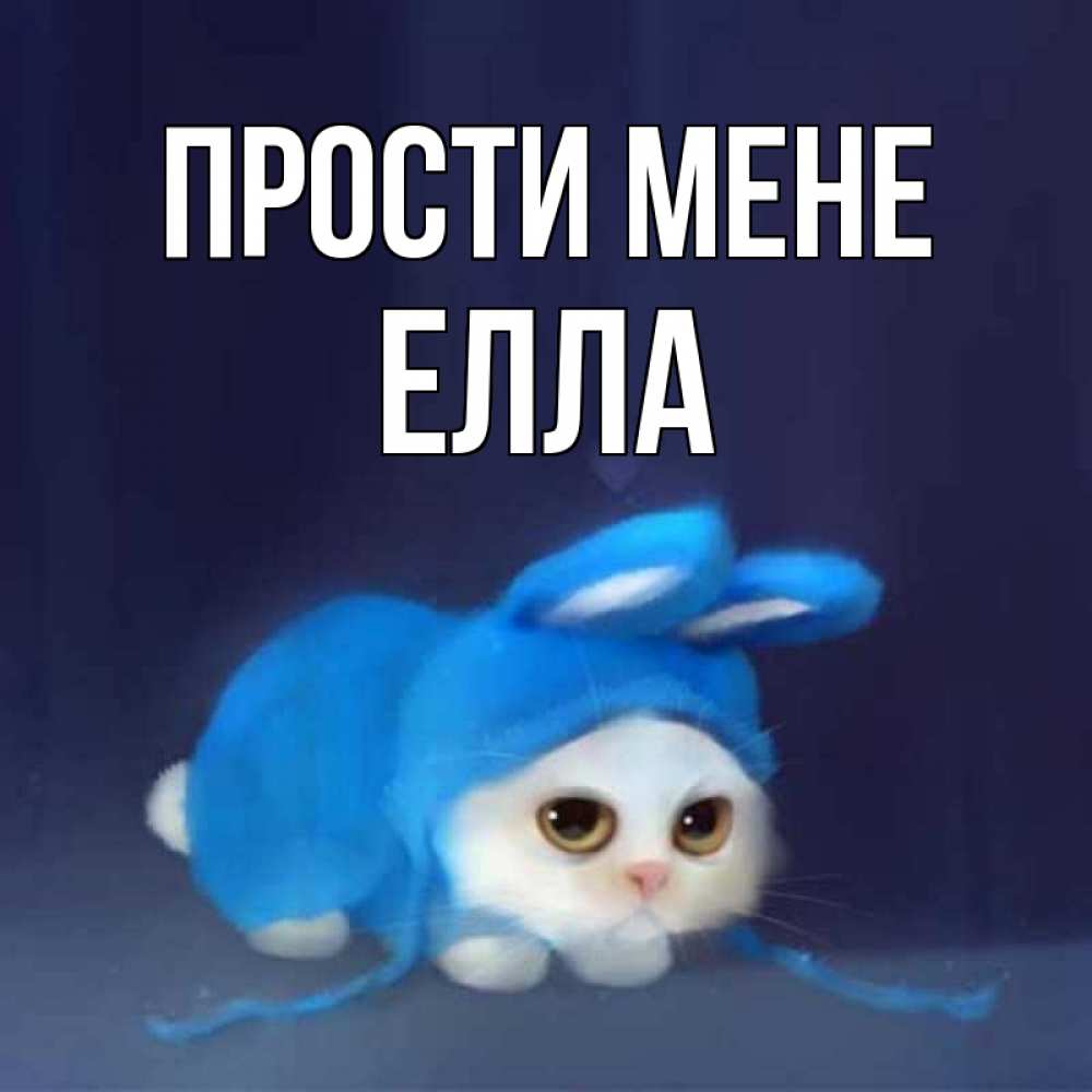Открытка на каждый день з підписом, Елла Прости мене невинный котозай просит прощения Прикольна листівка з побажанням онлайн скачати безкоштовно 