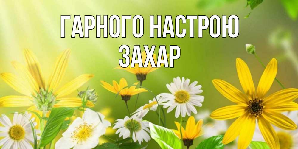 Открытка на каждый день з підписом, Захар Гарного настрою цветы Прикольна листівка з побажанням онлайн скачати безкоштовно 