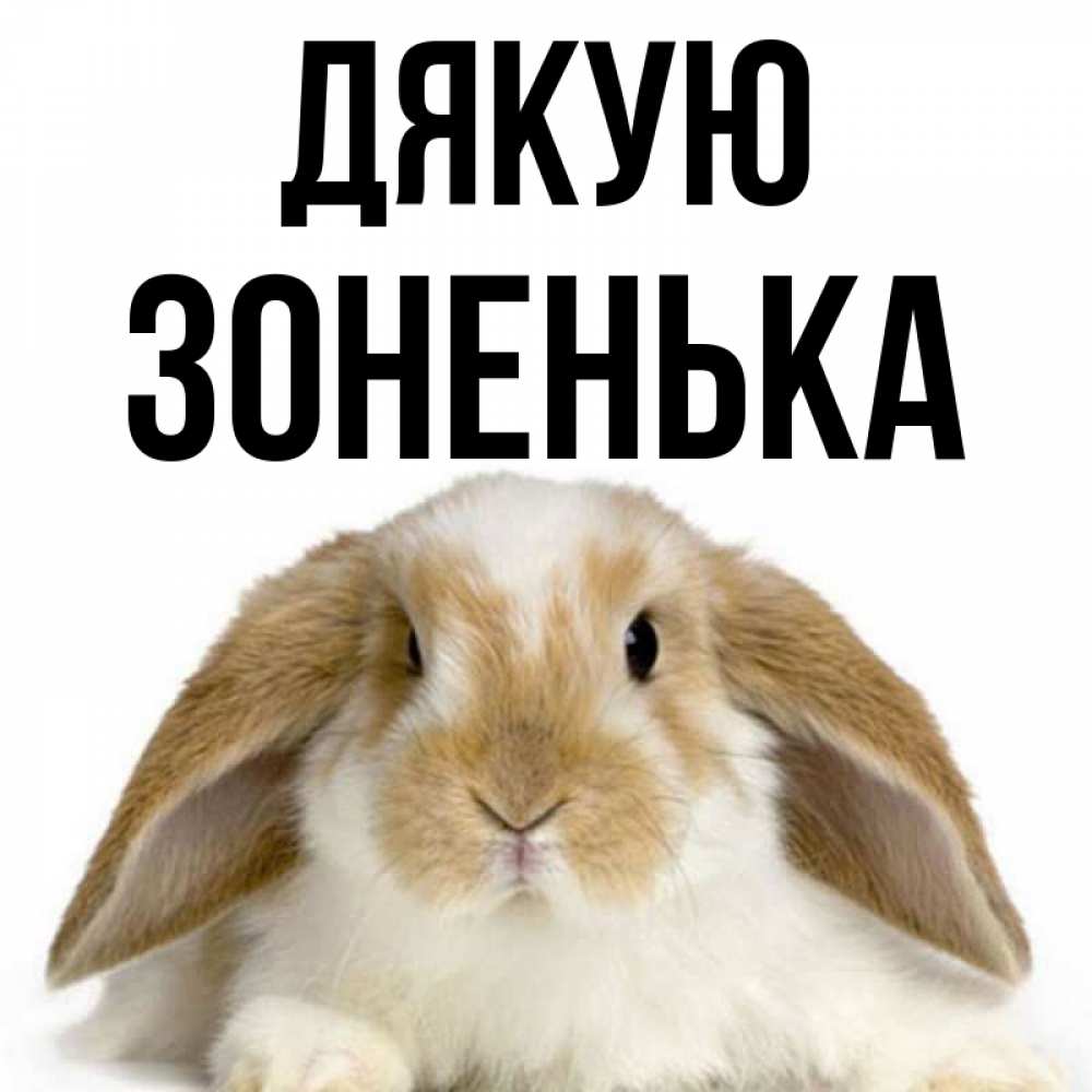 Открытка на каждый день з підписом, Зоненька Дякую коричнево белый заяц Прикольна листівка з побажанням онлайн скачати безкоштовно 
