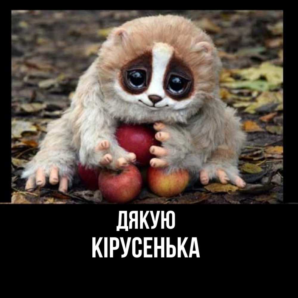 Открытка на каждый день з підписом, Кірусенька Дякую прикольное животное Прикольна листівка з побажанням онлайн скачати безкоштовно 