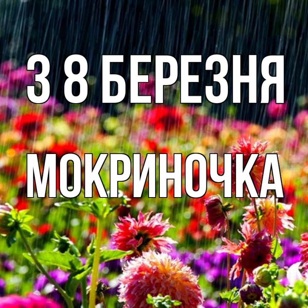 Открытка на каждый день з підписом, Мокриночка З 8 БЕРЕЗНЯ цветы под дождиком к международному женскому дню Прикольна листівка з побажанням онлайн скачати безкоштовно 