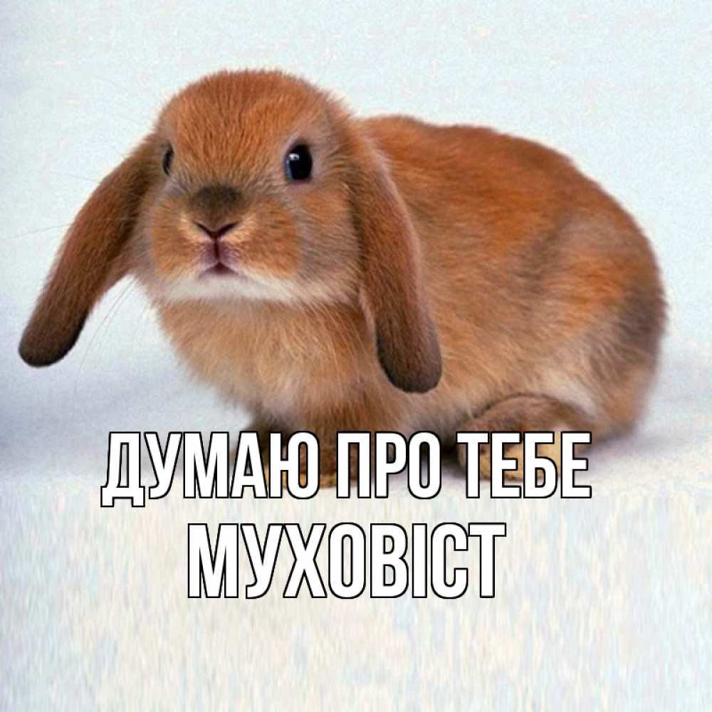 Открытка на каждый день з підписом, Муховіст Думаю про тебе кроль коричневый Прикольна листівка з побажанням онлайн скачати безкоштовно 