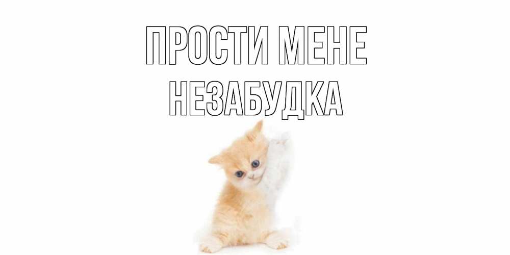 Открытка на каждый день з підписом, Незабудка Прости мене кот Прикольна листівка з побажанням онлайн скачати безкоштовно 