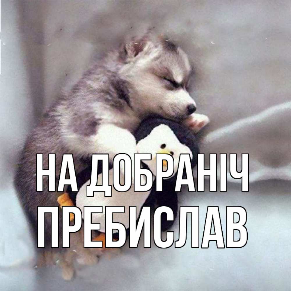 Открытка на каждый день з підписом, Пребислав На добраніч обнимашки щенка и пингвина Прикольна листівка з побажанням онлайн скачати безкоштовно 