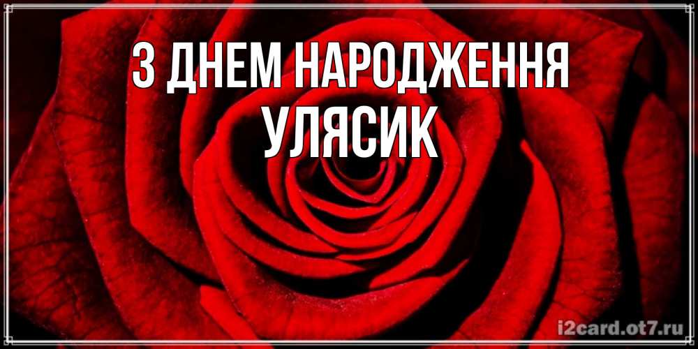 Открытка на каждый день з підписом, Улясик З Днем народження алая роза Прикольна листівка з побажанням онлайн скачати безкоштовно 