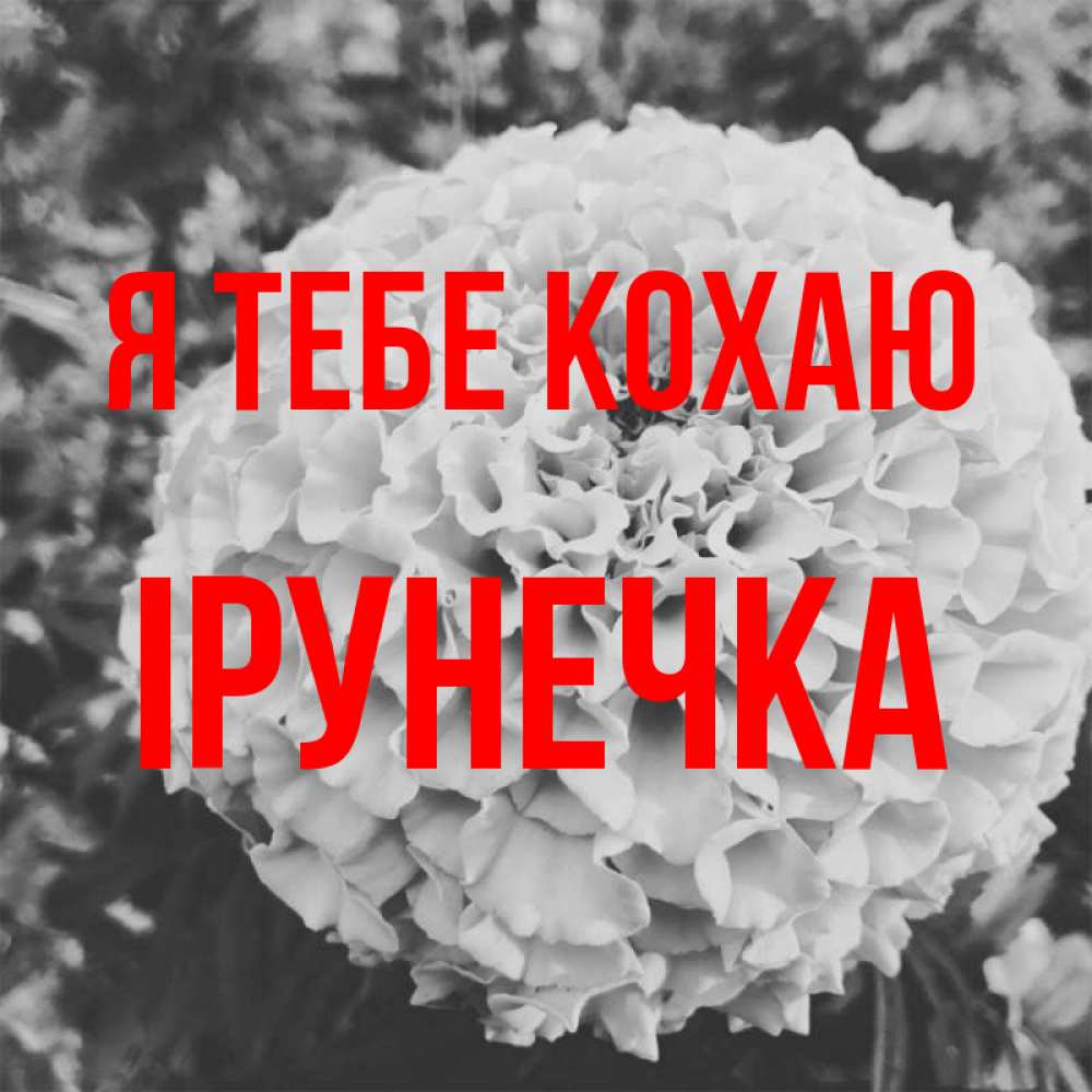 Открытка на каждый день з підписом, Ірунечка Я тебе кохаю подпись Прикольна листівка з побажанням онлайн скачати безкоштовно 