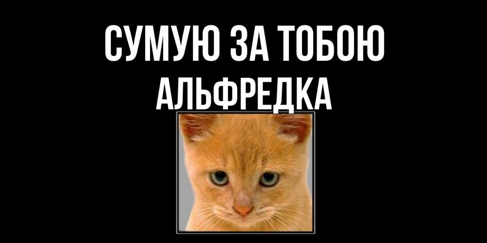 Открытка на каждый день з підписом, Альфредка Сумую за тобою открытки рыжий котенок скучает по тебе Прикольна листівка з побажанням онлайн скачати безкоштовно 