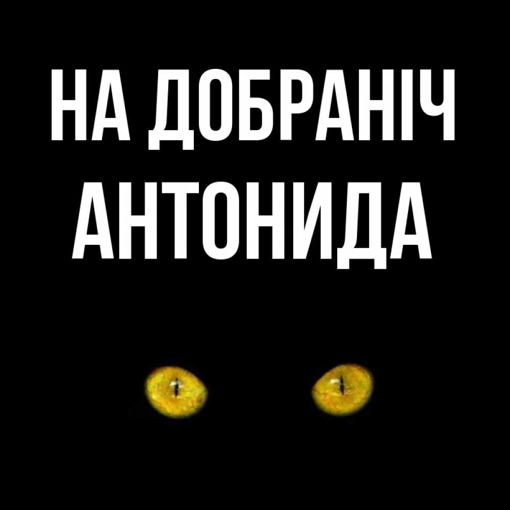 Открытка на каждый день з підписом, Антонида На добраніч сладких снов бесстрашный мой дружочек Прикольна листівка з побажанням онлайн скачати безкоштовно 