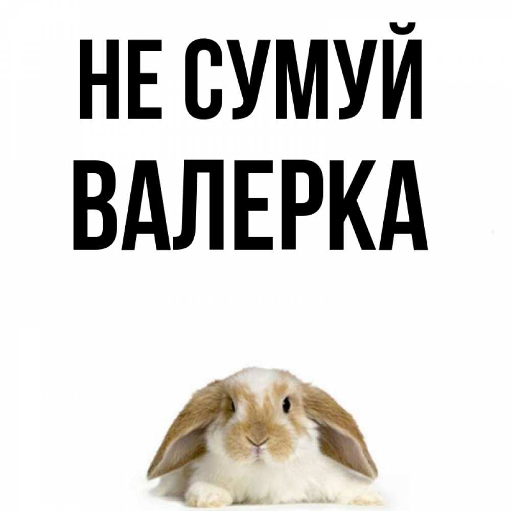 Открытка на каждый день з підписом, Валерка Не сумуй коричнево белый заяц с большими ушками Прикольна листівка з побажанням онлайн скачати безкоштовно 