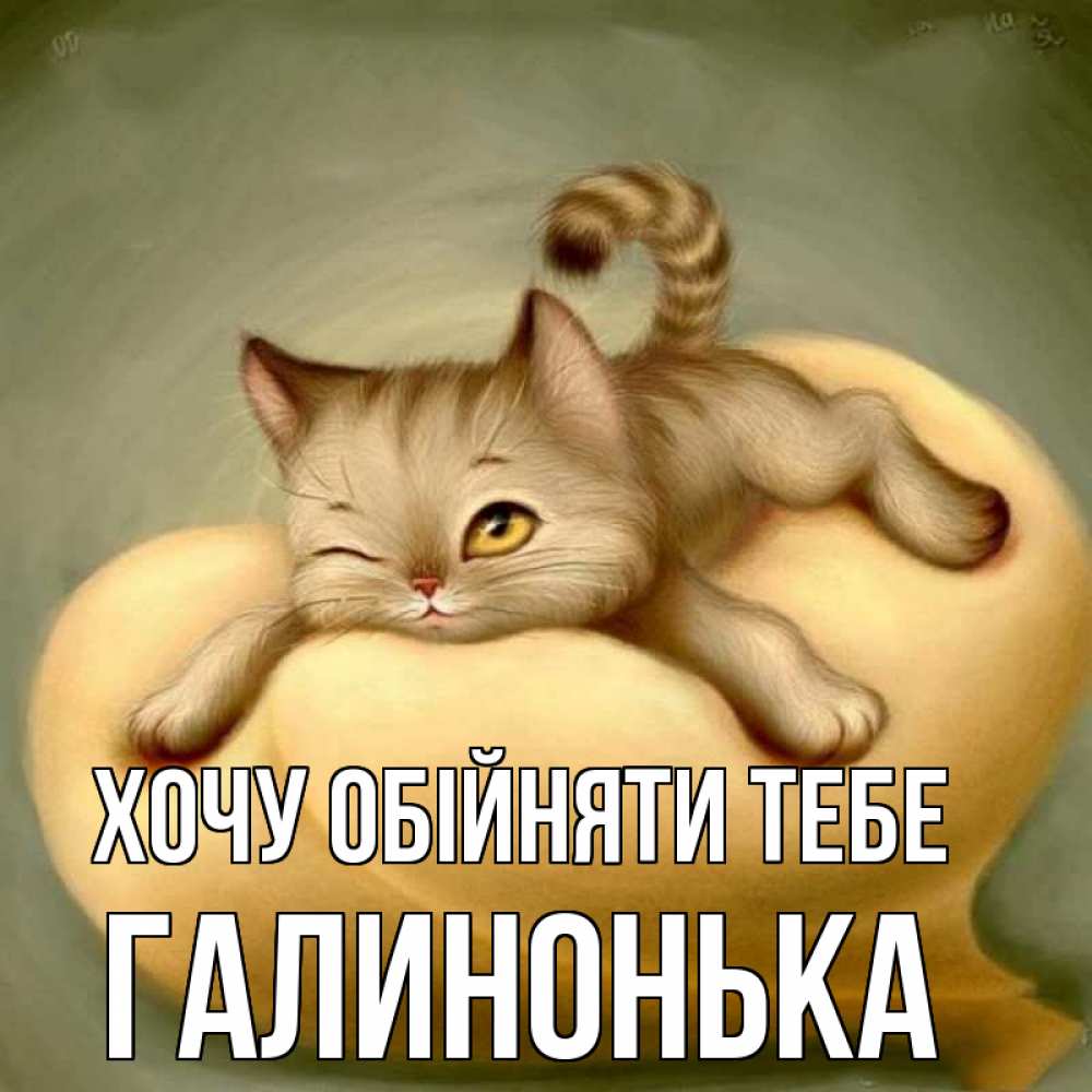 Открытка на каждый день з підписом, Галинонька Хочу обійняти тебе кошечка Прикольна листівка з побажанням онлайн скачати безкоштовно 