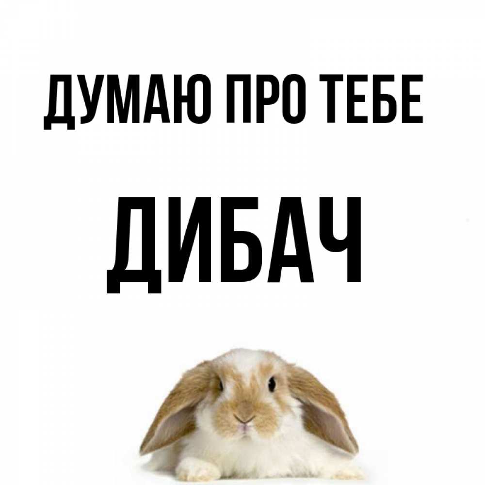 Открытка на каждый день з підписом, Дибач Думаю про тебе подписать своими руками онлайн Прикольна листівка з побажанням онлайн скачати безкоштовно 