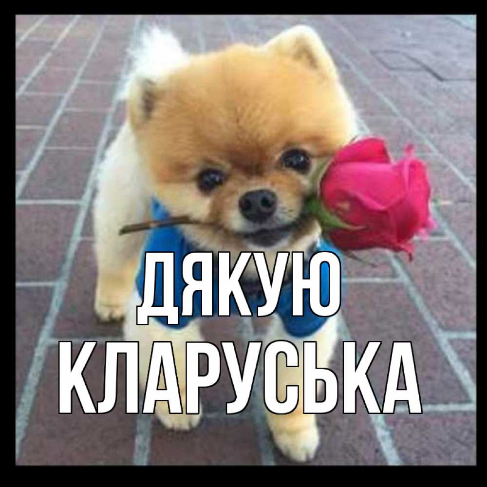 Открытка на каждый день з підписом, Кларуська Дякую спасибо и дарю тебе цветок Прикольна листівка з побажанням онлайн скачати безкоштовно 