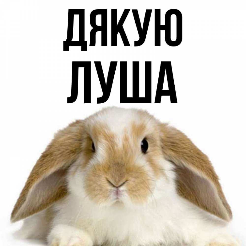 Открытка на каждый день з підписом, Луша Дякую коричнево белый заяц Прикольна листівка з побажанням онлайн скачати безкоштовно 