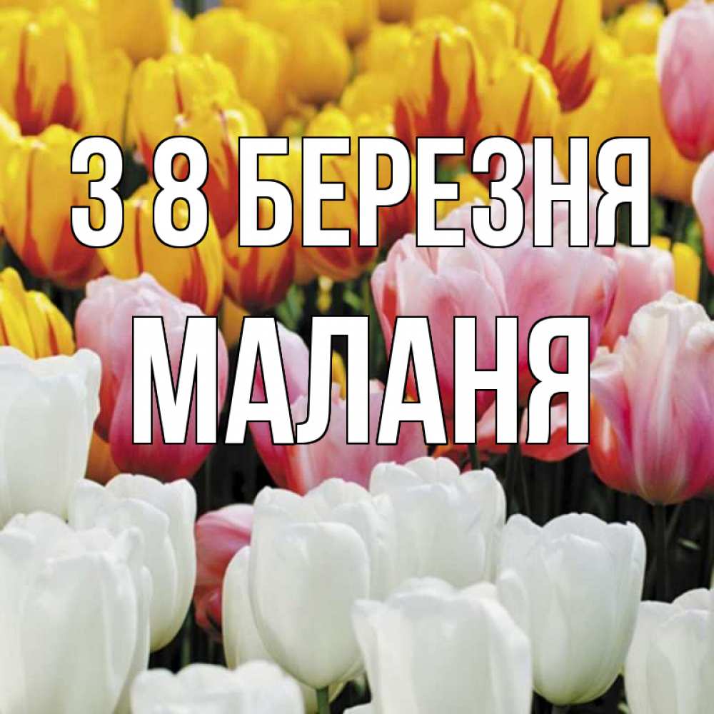 Открытка на каждый день з підписом, Маланя З 8 БЕРЕЗНЯ разноцветные цветы Прикольна листівка з побажанням онлайн скачати безкоштовно 
