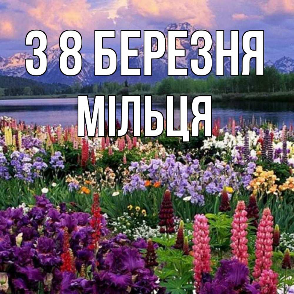 Открытка на каждый день з підписом, Мільця З 8 БЕРЕЗНЯ международный женский день Прикольна листівка з побажанням онлайн скачати безкоштовно 
