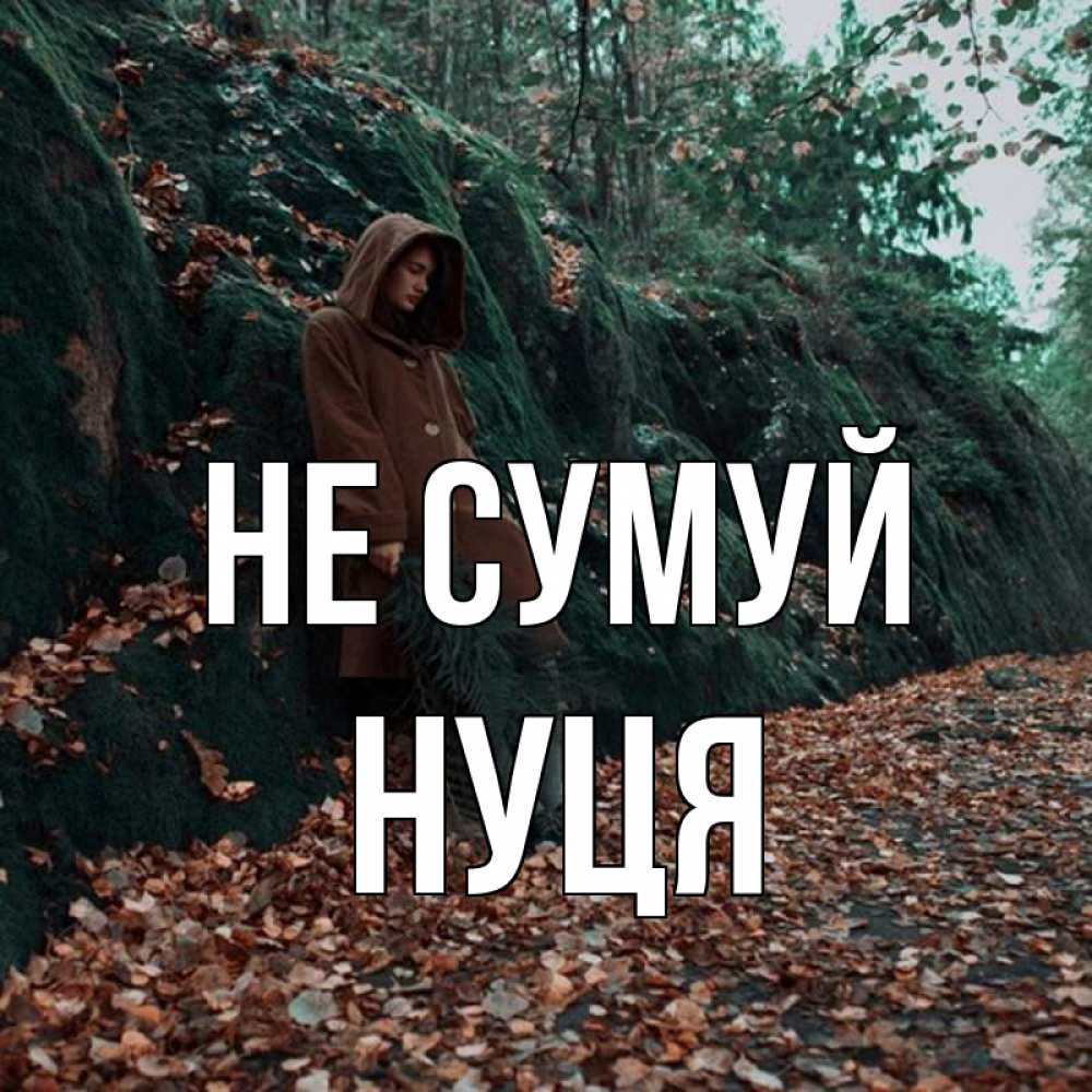 Открытка на каждый день з підписом, Нуця Не сумуй осенний лес Прикольна листівка з побажанням онлайн скачати безкоштовно 