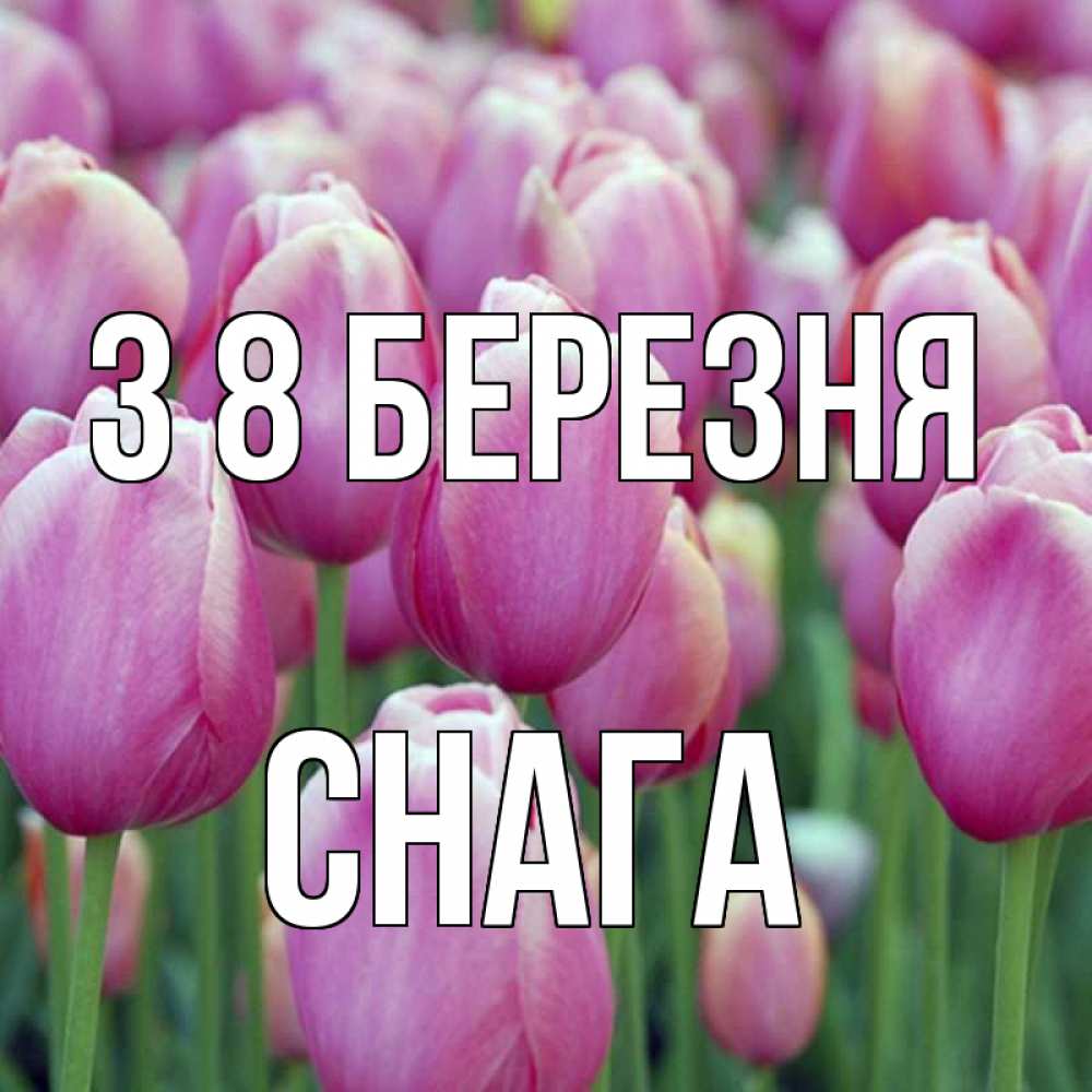 Открытка на каждый день з підписом, Снага З 8 БЕРЕЗНЯ на международный женский день 3 Прикольна листівка з побажанням онлайн скачати безкоштовно 