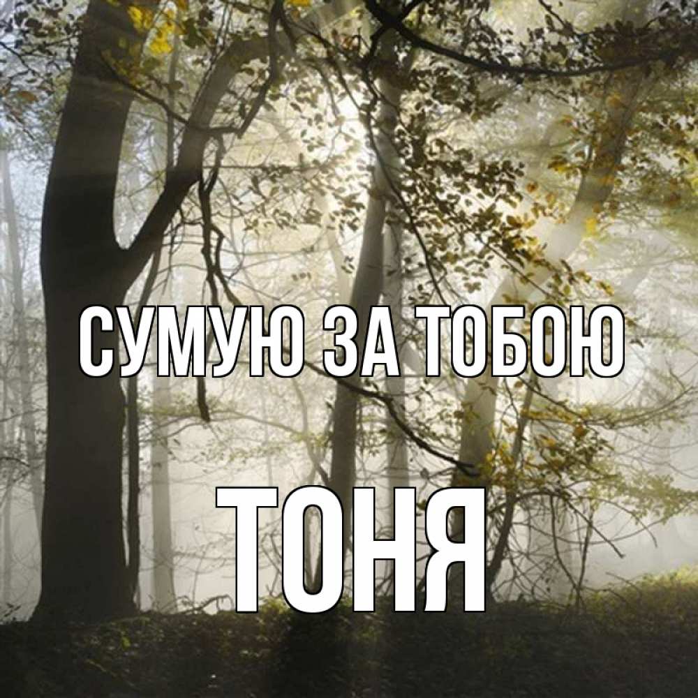 Открытка на каждый день з підписом, Тоня Сумую за тобою грустно Прикольна листівка з побажанням онлайн скачати безкоштовно 