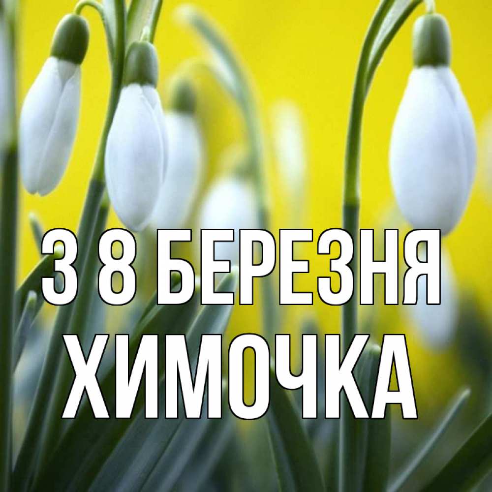Открытка на каждый день з підписом, Химочка З 8 БЕРЕЗНЯ весенние цветы Прикольна листівка з побажанням онлайн скачати безкоштовно 